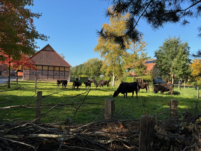 Auslauf im Oktober