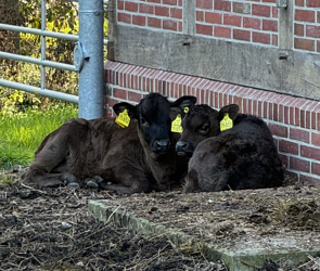 Gemeinsam statt einsam…